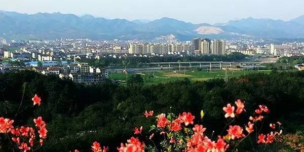 浙江省政府辦公廳發文，助力機床小鎮城市化建設