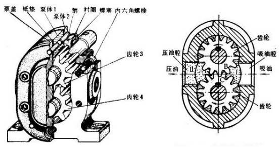 外嚙合齒輪泵基本機(jī)構(gòu)圖.png